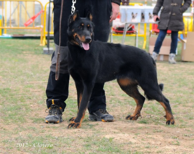 Fany de euskal herria